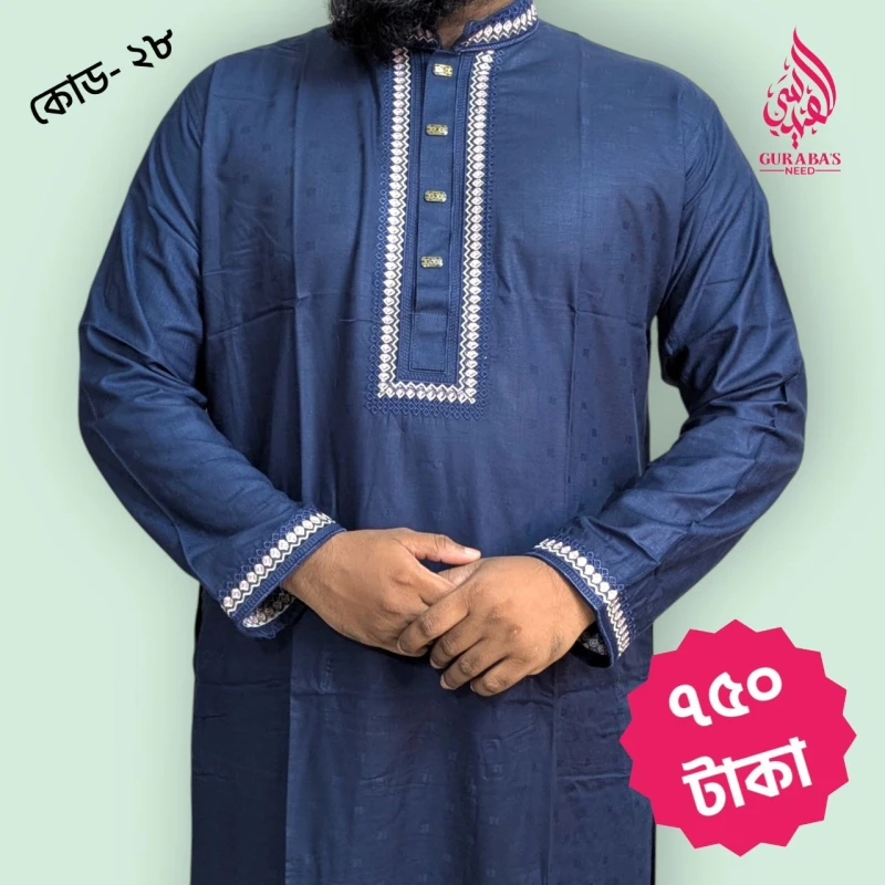 Embroidery Punjabi 28